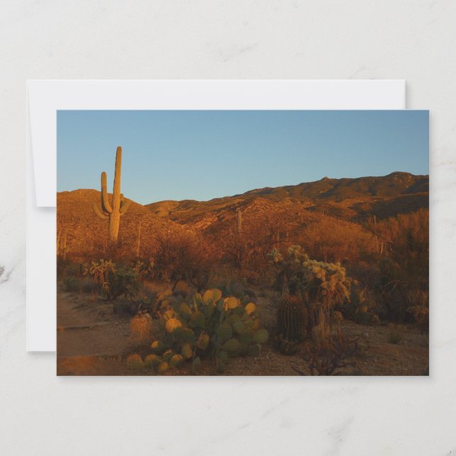 Saguaro Sunset I Arizona Wüste Landschaft Karte (Vorderseite)