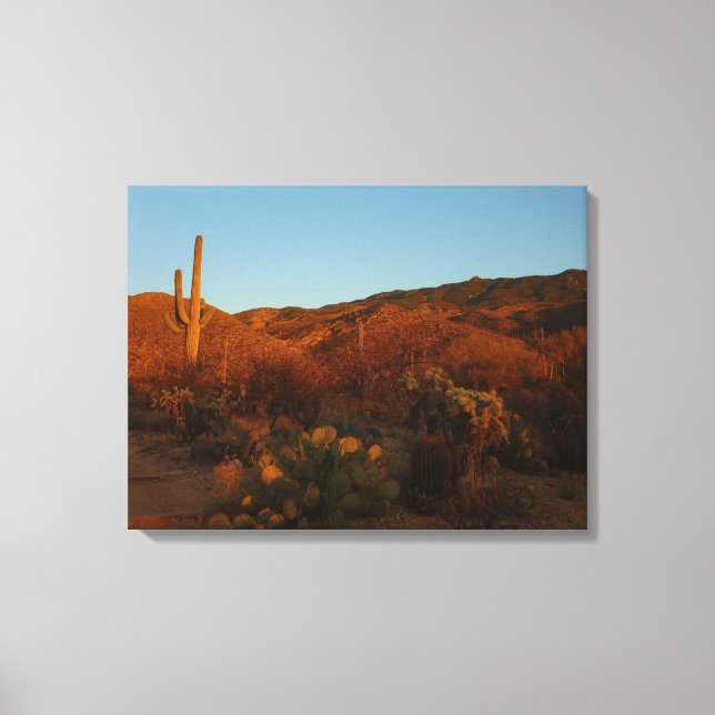 Saguaro Sunset I Arizona Wüste Landschaft Leinwanddruck (Vorderseite)