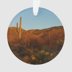 Saguaro Sunset I Arizona Wüste Landschaft Ornament