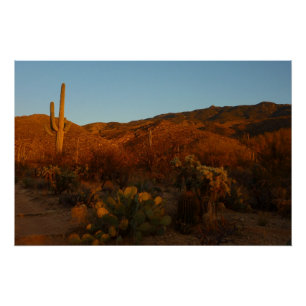 Saguaro Sunset I Arizona Wüste Landschaft Poster