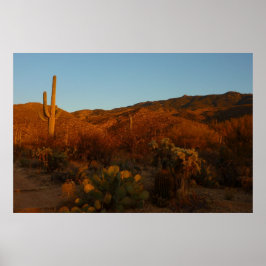 Saguaro Sunset I Arizona Wüste Landschaft Poster