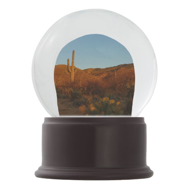 Saguaro Sunset I Arizona Wüste Landschaft Schneekugel (Vorderseite)