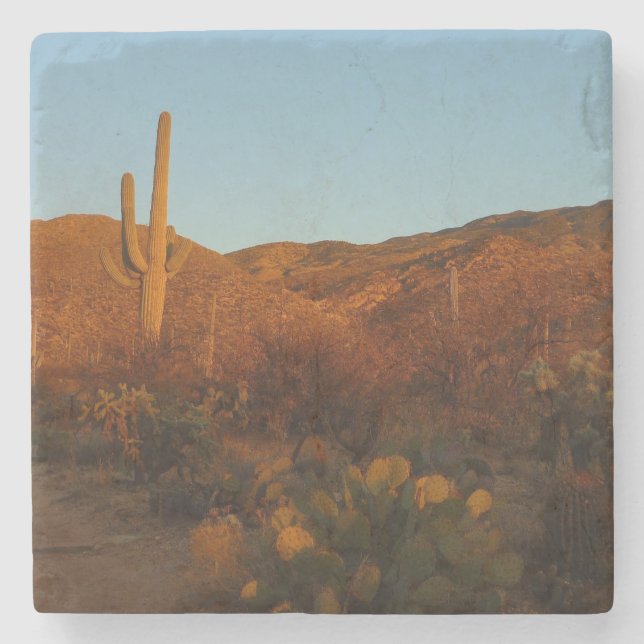 Saguaro Sunset I Arizona Wüste Landschaft Steinuntersetzer (Vorderseite)