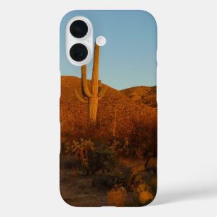 Saguaro Sunset I Arizona Wüste Landschaft title_seo2