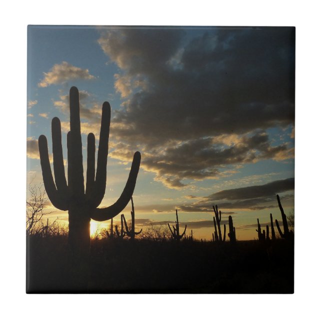 Saguaro Sunset II Arizona Wüste Landschaft Fliese (Vorderseite)