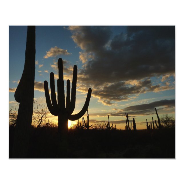 Saguaro Sunset II Arizona Wüste Landschaft Fotodruck (Vorne)