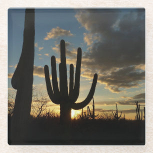 Saguaro Sunset II Arizona Wüste Landschaft Glasuntersetzer