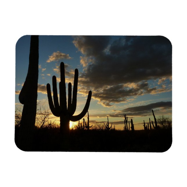 Saguaro Sunset II Arizona Wüste Landschaft Magnet (Horizontal)