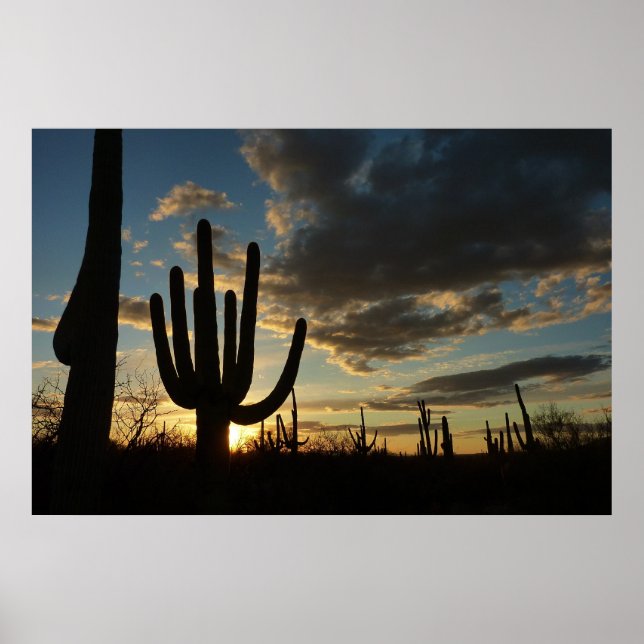Saguaro Sunset II Arizona Wüste Landschaft Poster (Vorne)