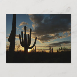 Saguaro Sunset II Arizona Wüste Landschaft Postkarte