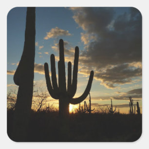 Saguaro Sunset II Arizona Wüste Landschaft Quadratischer Aufkleber