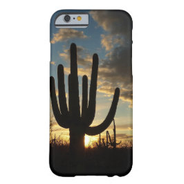Saguaro Sunset II Arizona Wüste Landschaft title_seo2