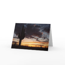 Saguaro Sunset III Arizona Wüste Landschaft