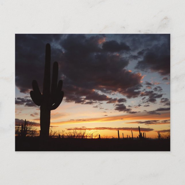 Saguaro Sunset III Arizona Wüste Landschaft Postkarte (Vorderseite)
