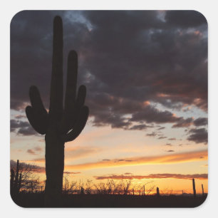 Saguaro Sunset III Arizona Wüste Landschaft Quadratischer Aufkleber