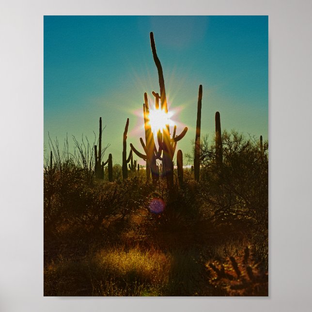 Saguaro Sunstar Poster (Vorne)