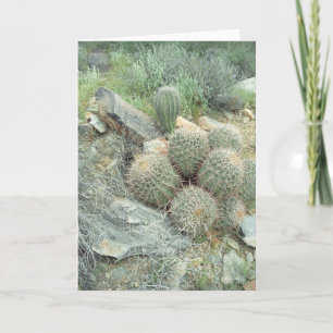 Saguaro Swirl Grußkarte Karte