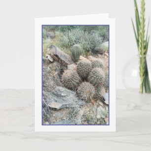 Saguaro Swirl Grußkarte Karte