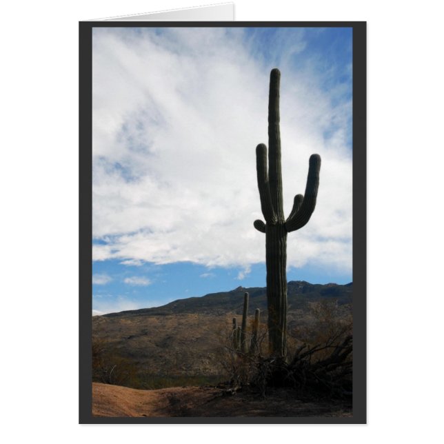Saguaro Vista (Devant)