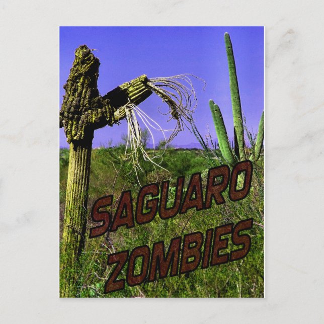 Saguaro Zombies Zombie 2 Postkarte (Vorderseite)