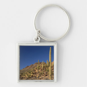 Saguarokakteen und Tucson-Berge, Tucson Schlüsselanhänger