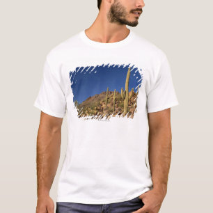 Saguarokakteen und Tucson-Berge, Tucson T-Shirt