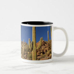 Saguarokakteen und Tucson-Berge, Tucson Zweifarbige Tasse