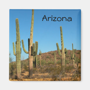 Saguarokaktus Magnet