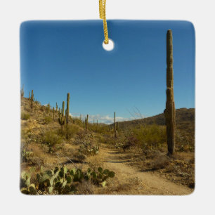 Saguaro's Carillo Trail im Saguaro-Nationalpark Keramikornament