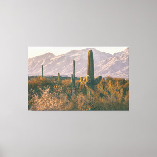 Saguaros Leinwanddruck