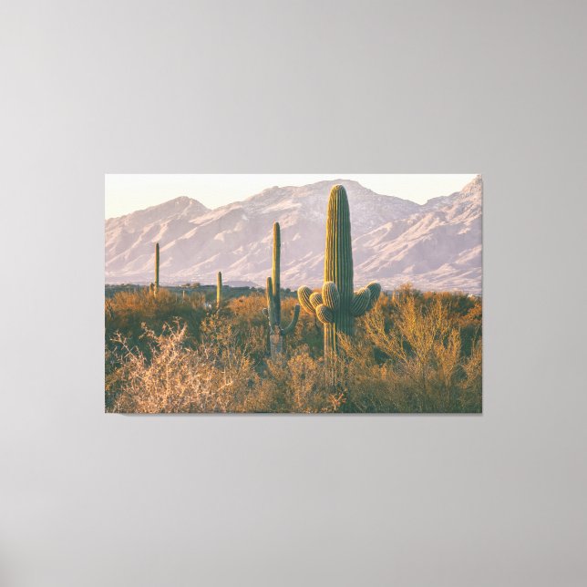 Saguaros Leinwanddruck (Vorderseite)