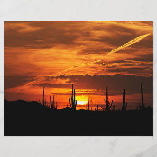 Saguaros pittoresque au Livre de papier du crépusc