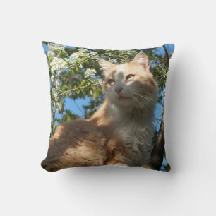 Sahara-Katze in einem Tree-II-Kissen Kissen