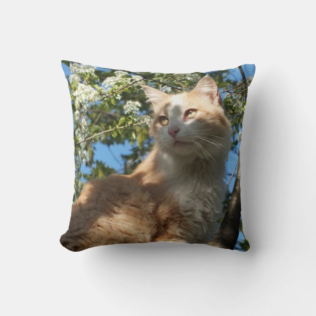 Sahara-Katze in einem Tree-II-Kissen Kissen (Vorderseite)