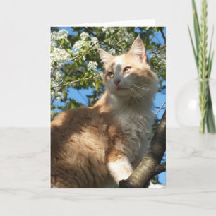 Sahara Katze in einer Baumgrüßkarte Karte