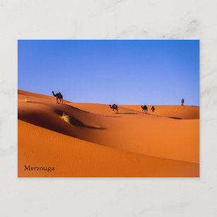Sahara Merzouga am frühen Morgen Postkarte