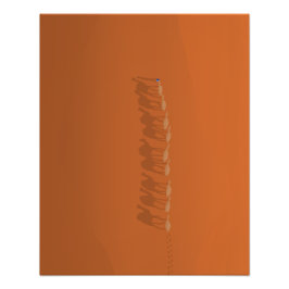 Sahara-Wüste Marokko | Luftbild Fotodruck