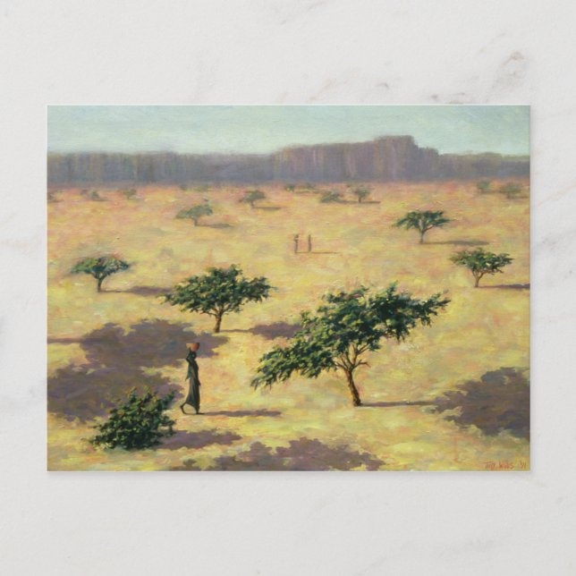 Sahelische Landschaft Mali 1991 Postkarte (Vorderseite)