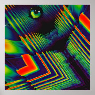 Sahne von Ninja Soup Poster