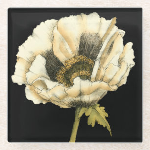 Sahnemohnblumen-Blume auf schwarzem Hintergrund Glasuntersetzer