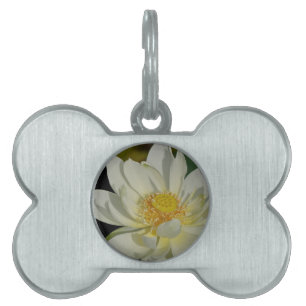 Sahniges Wasser Lily.JPG Tiermarke