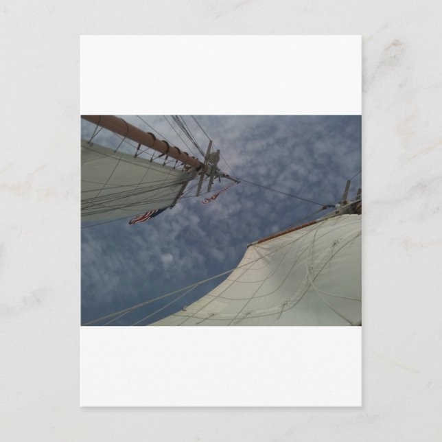 Sailboat Greeting Card Postkarte (Vorderseite)