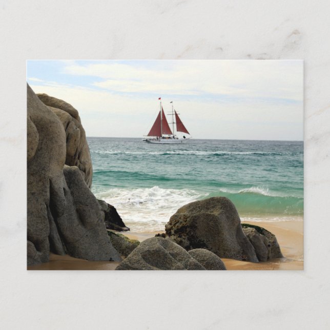 Sailboat Postcard Postkarte (Vorderseite)