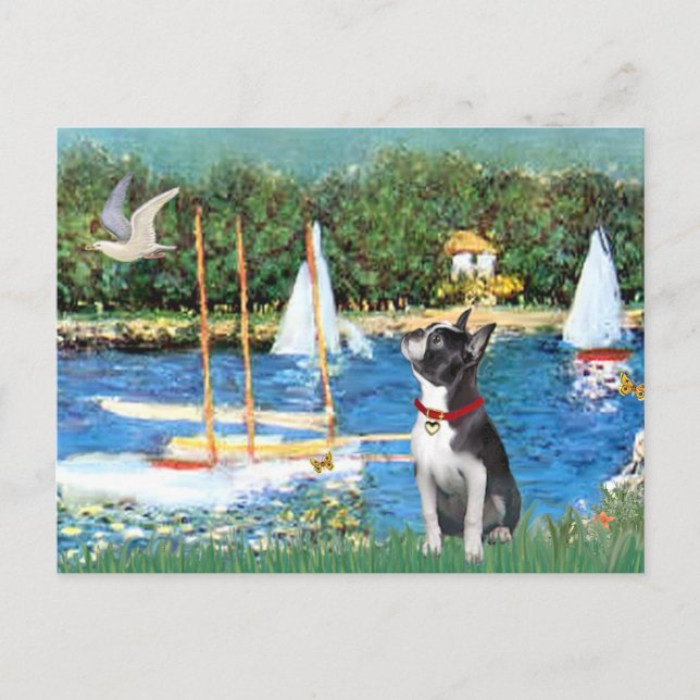 Sailboats - Boston Terrier #@ Postkarte (Vorderseite)