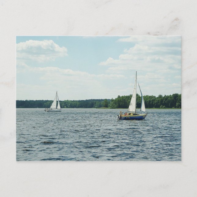 Sailboote Post Card Postkarte (Vorderseite)