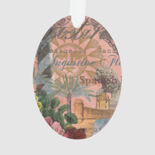 saint augustine florida voyage art antique