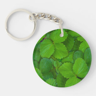 Saint Basil Tulsi Green Mint Feuilles