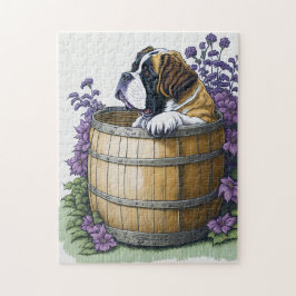 Saint Bernard Dog