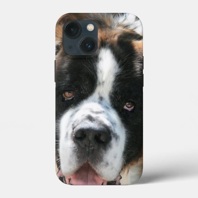 Saint Bernard Face Case-Mate iPhone Hülle (Rückseite)