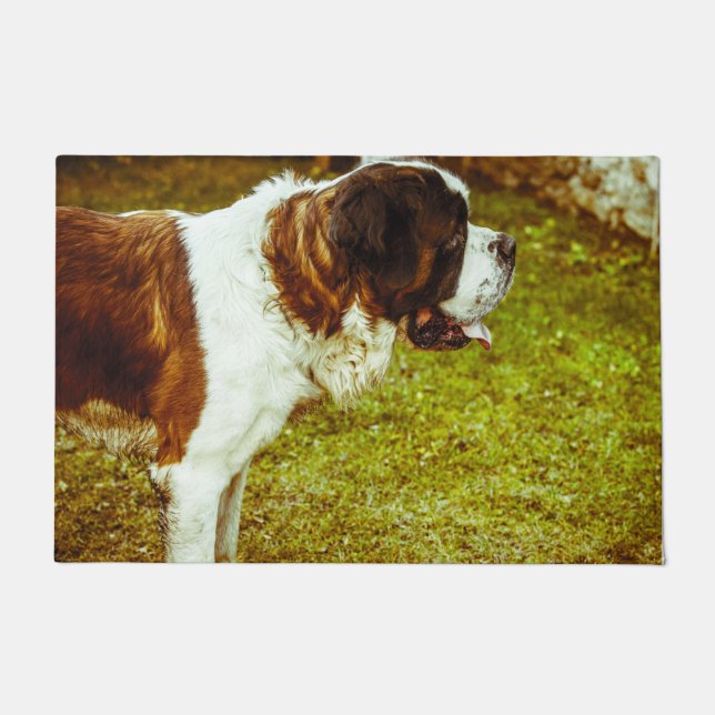 Saint Bernard. Fußmatte (Vorderseite)